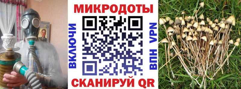Галлюциногенные грибы Psilocybine cubensis  где продают наркотики  Омутнинск 
